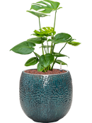 Pot marly couple bleue