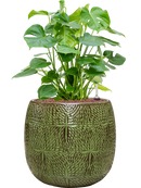 Pot marly couple verte