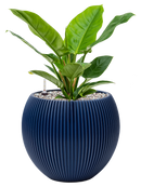 Pot nature groove special globe bleue