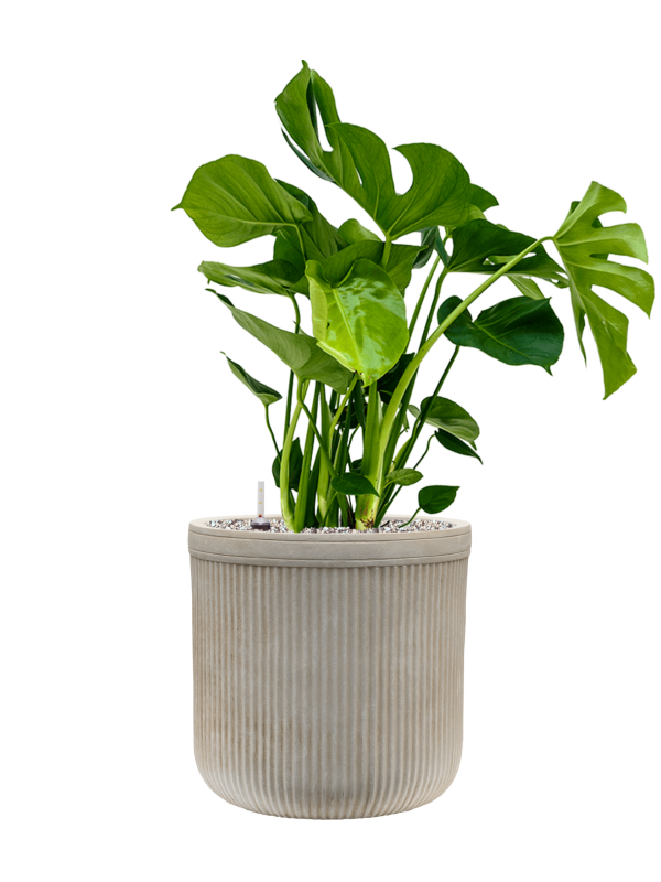 Pot vertical rib cylinder beige