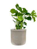 Pot vertical rib cylinder beige