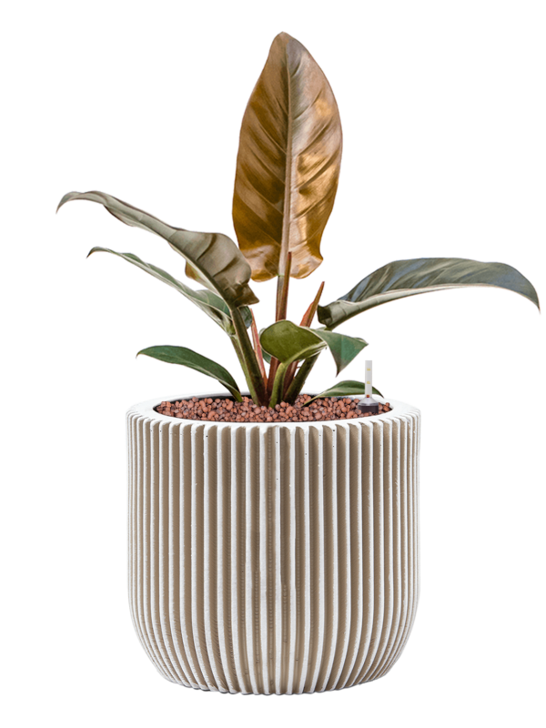 Pot nature groove couple beige