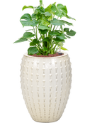 Pot laos emperor beige