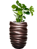 Pot gradient partner marron