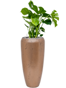 Pot opus partner d'or