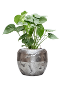 Pot opus couple argent