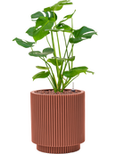 Pot nature groove special cylinder rouge