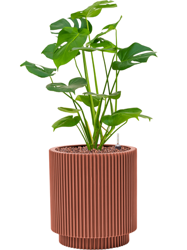 Pot nature groove special cylinder rouge