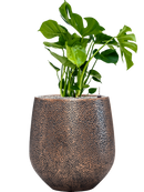 Pot opus emperor d'or