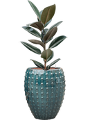 Pot laos emperor bleue