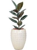 Pot laos emperor beige