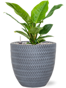 Pot angle couple grise