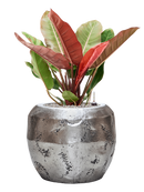 Pot opus couple argent