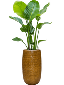 Pot marly partner jaune