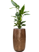 Pot marly partner d'or