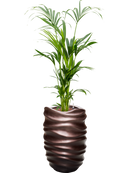 Pot gradient partner marron