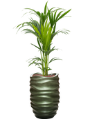 Pot gradient partner verte