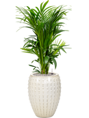 Pot laos emperor beige