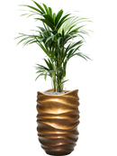 Pot gradient partner marron