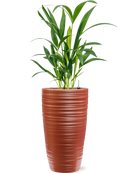 Pot groove partner rouge