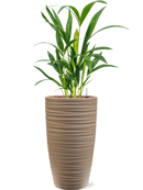 Pot groove partner beige