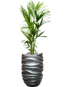 Pot gradient partner grise