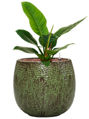 Pot marly couple verte