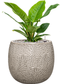 Pot marly couple blanche