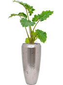 Pot opus partner argent