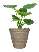 Pot treasure couple beige