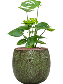 Pot marly couple verte