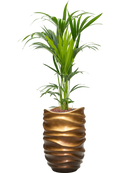 Pot gradient partner marron