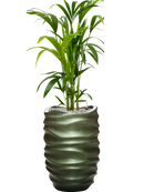 Pot gradient partner verte