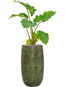 Pot marly partner verte