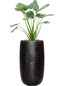 Pot marly partner noire