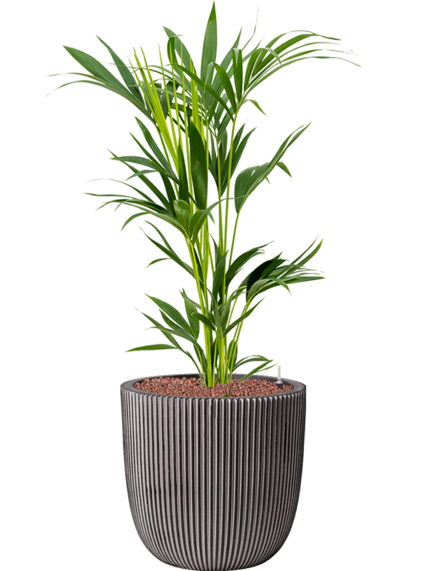 Pot nature groove couple anthracite