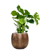 Pot marly couple d'or