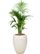 Pot laos emperor beige