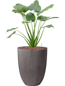 Pot nature row partner anthracite