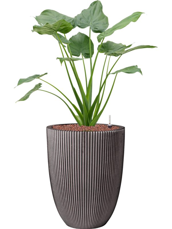 Pot nature row partner anthracite