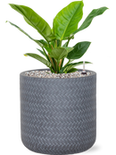 Pot angle cylinder grise