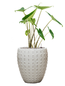 Pot laos emperor beige