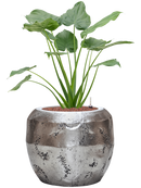 Pot opus couple argent