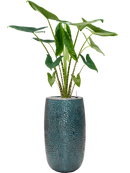 Pot marly partner bleue