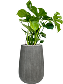 Pot ridged darcy grise