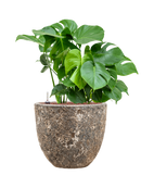 Pot lava couple marron