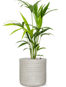 Pot angle cylinder blanche