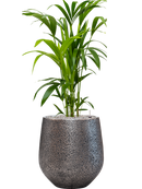 Pot opus emperor argent