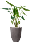 Pot nature row partner anthracite