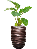 Pot gradient partner marron